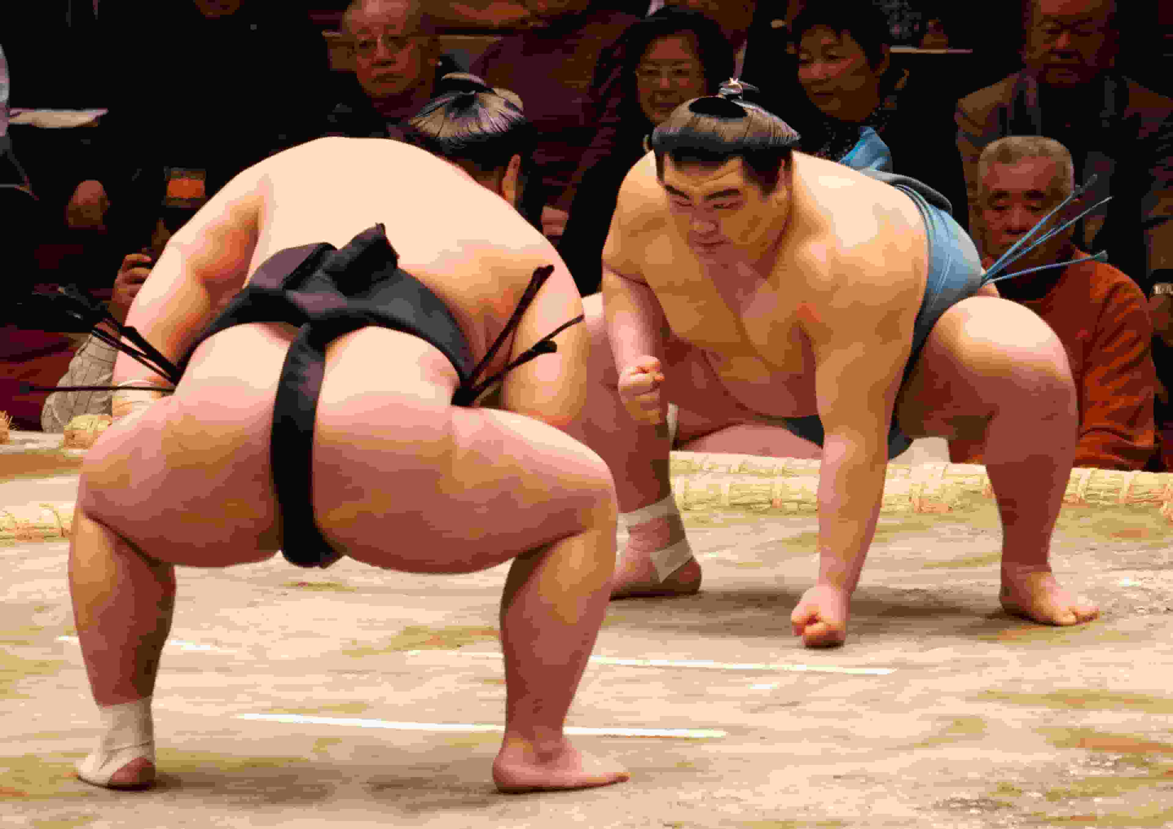 Thumbnail for Grand Sumo