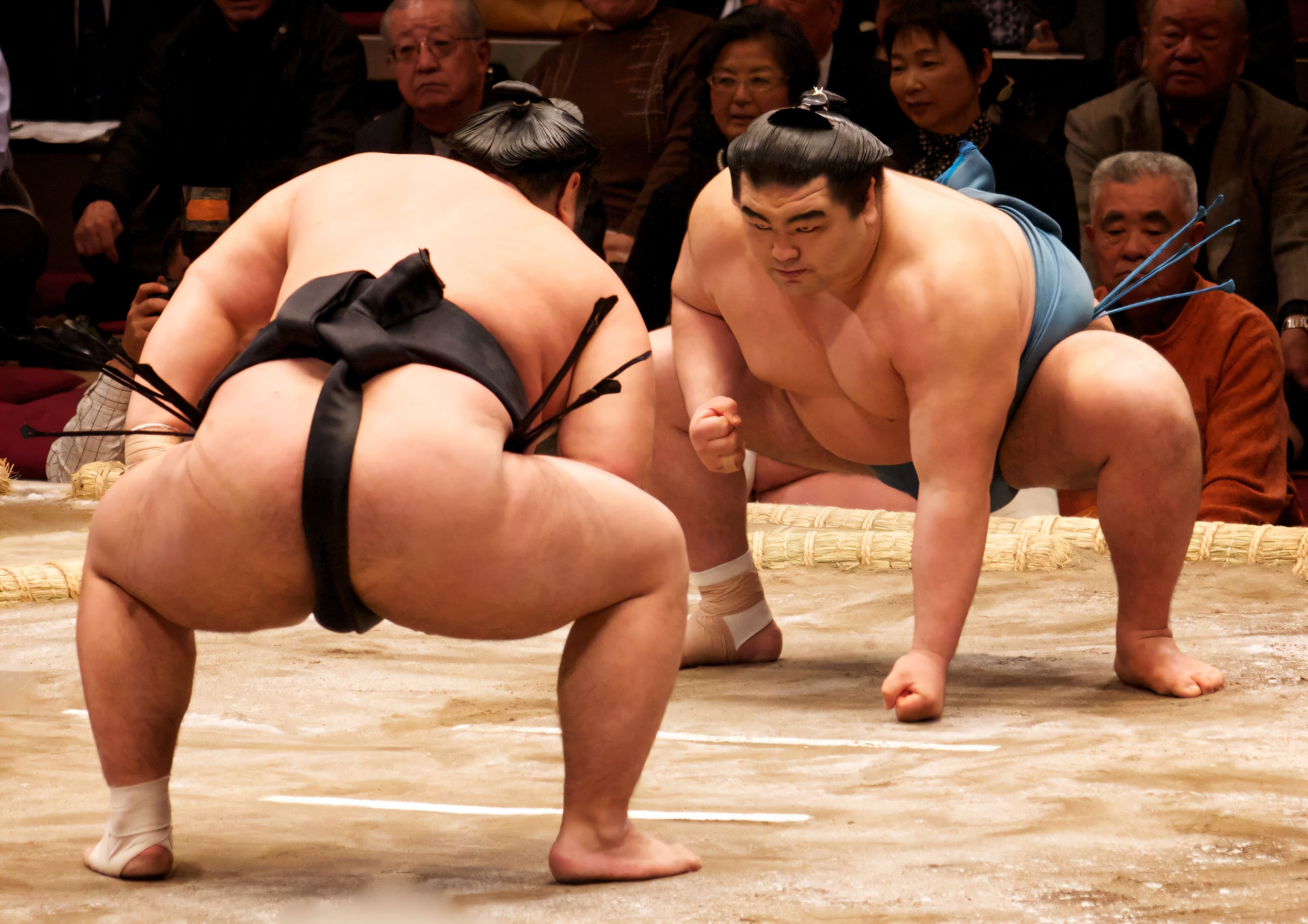 Thumbnail for Grand Sumo