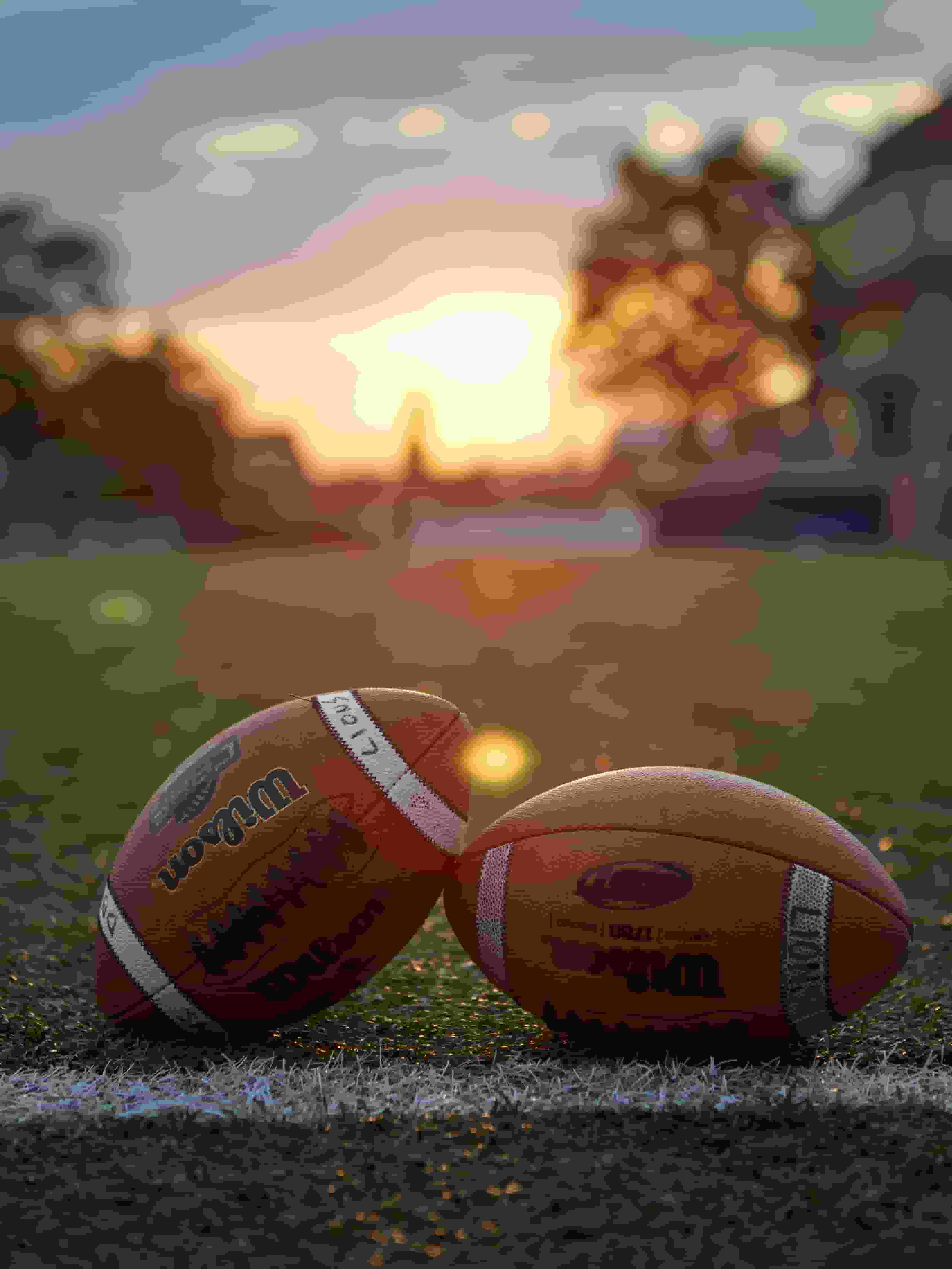 Thumbnail for Portland State Vikings Football