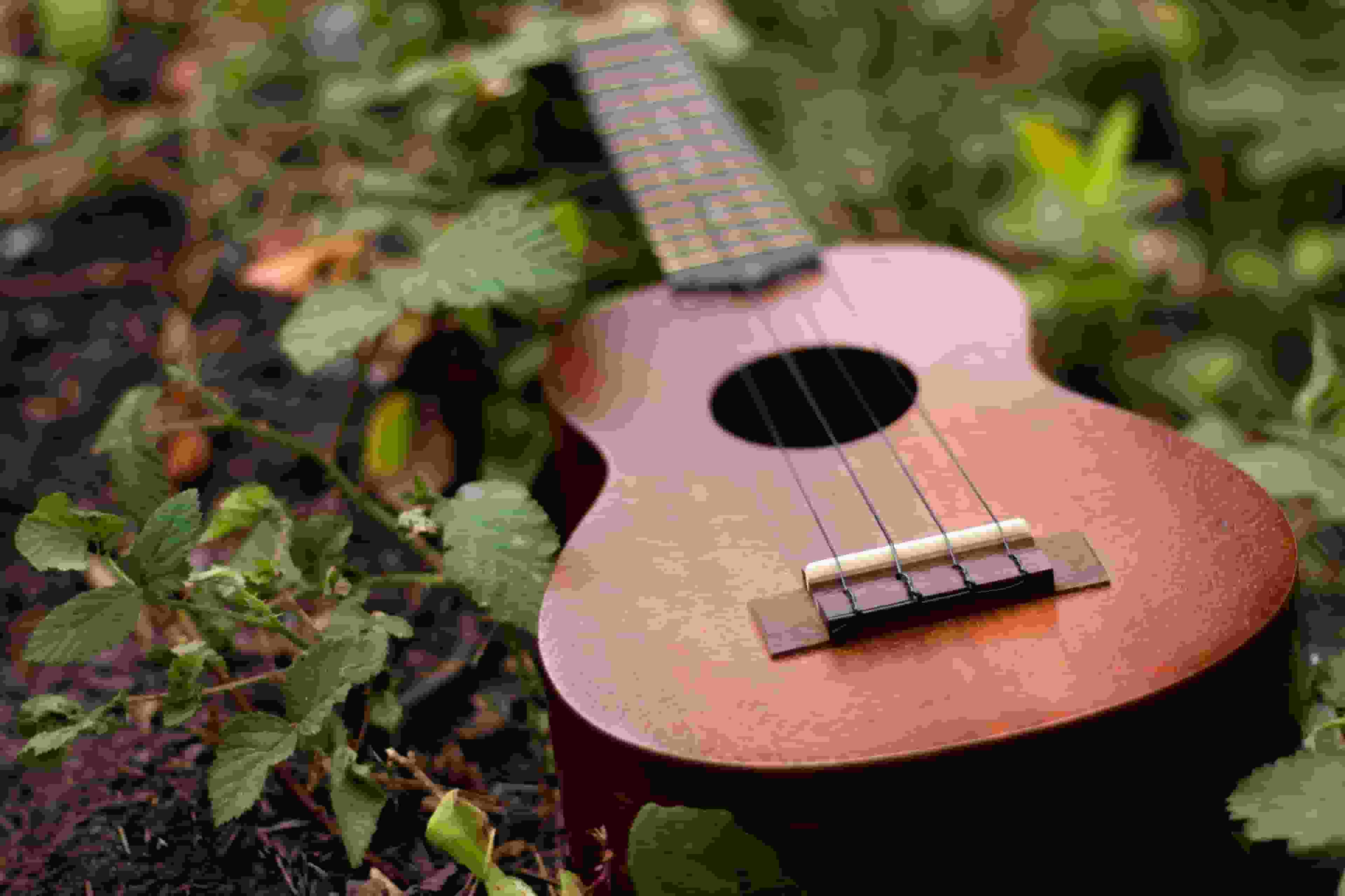 Thumbnail for Amos Lee