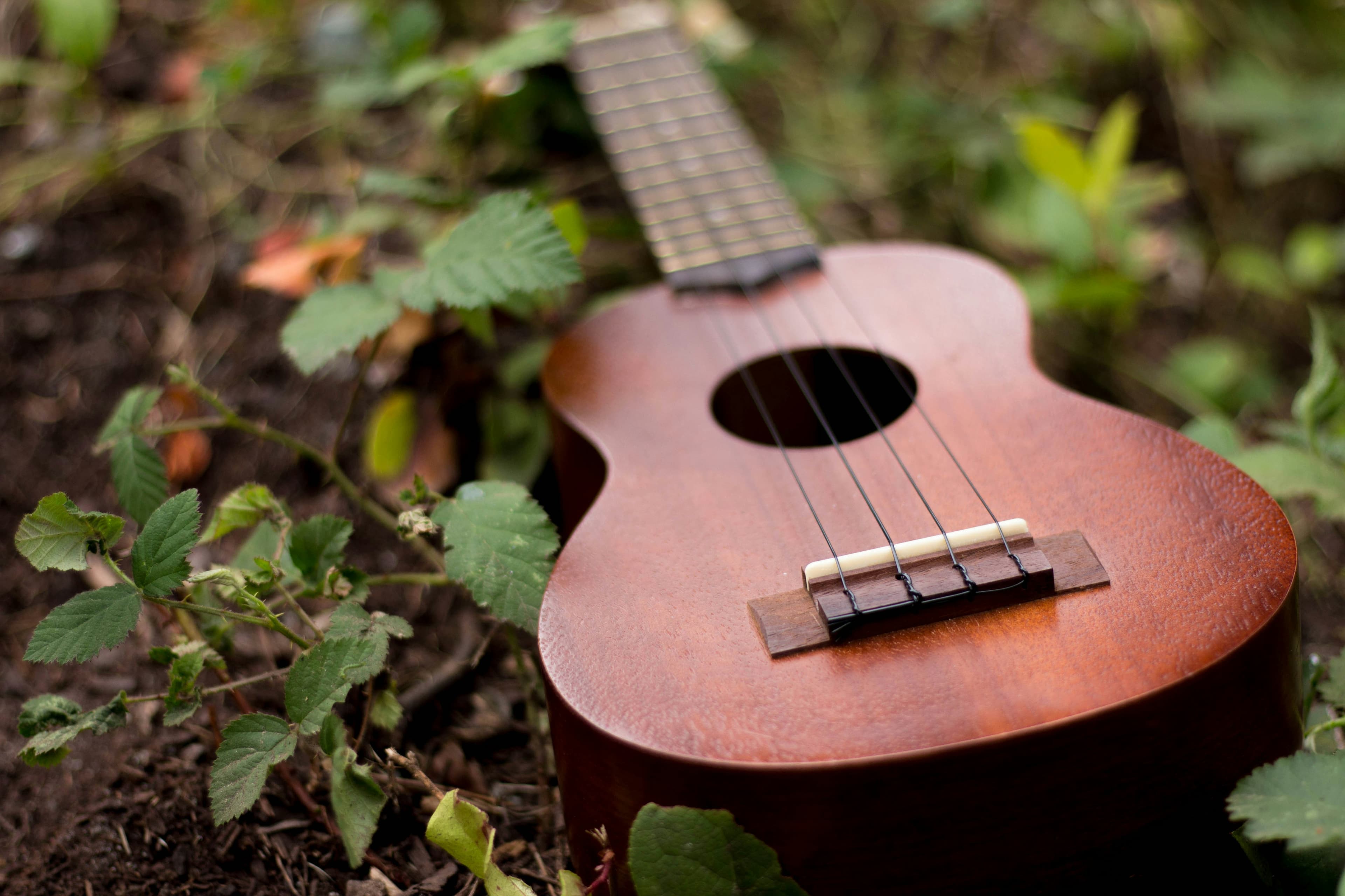 Thumbnail for Amos Lee