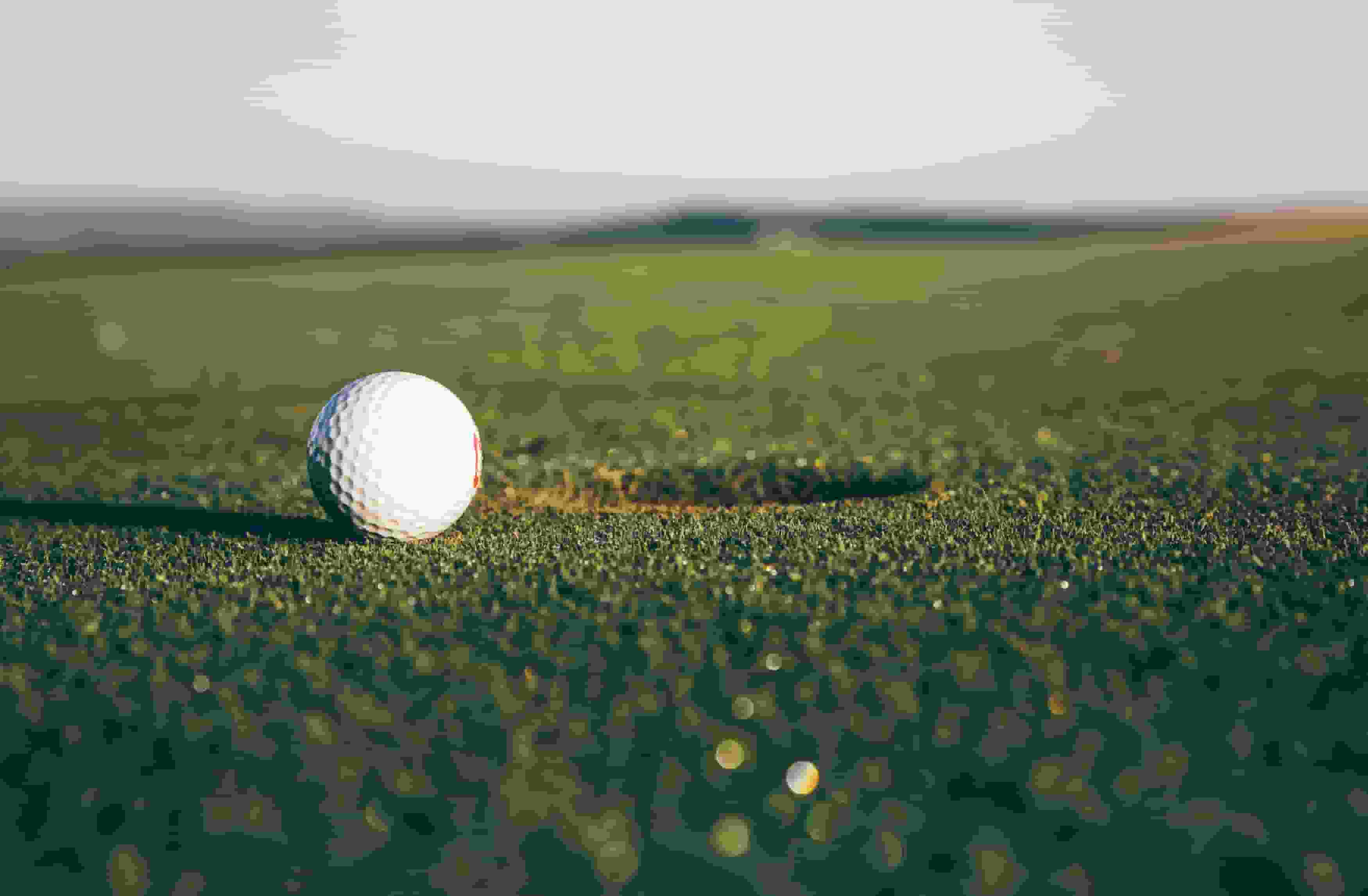 Thumbnail for Sony Open in Hawaii