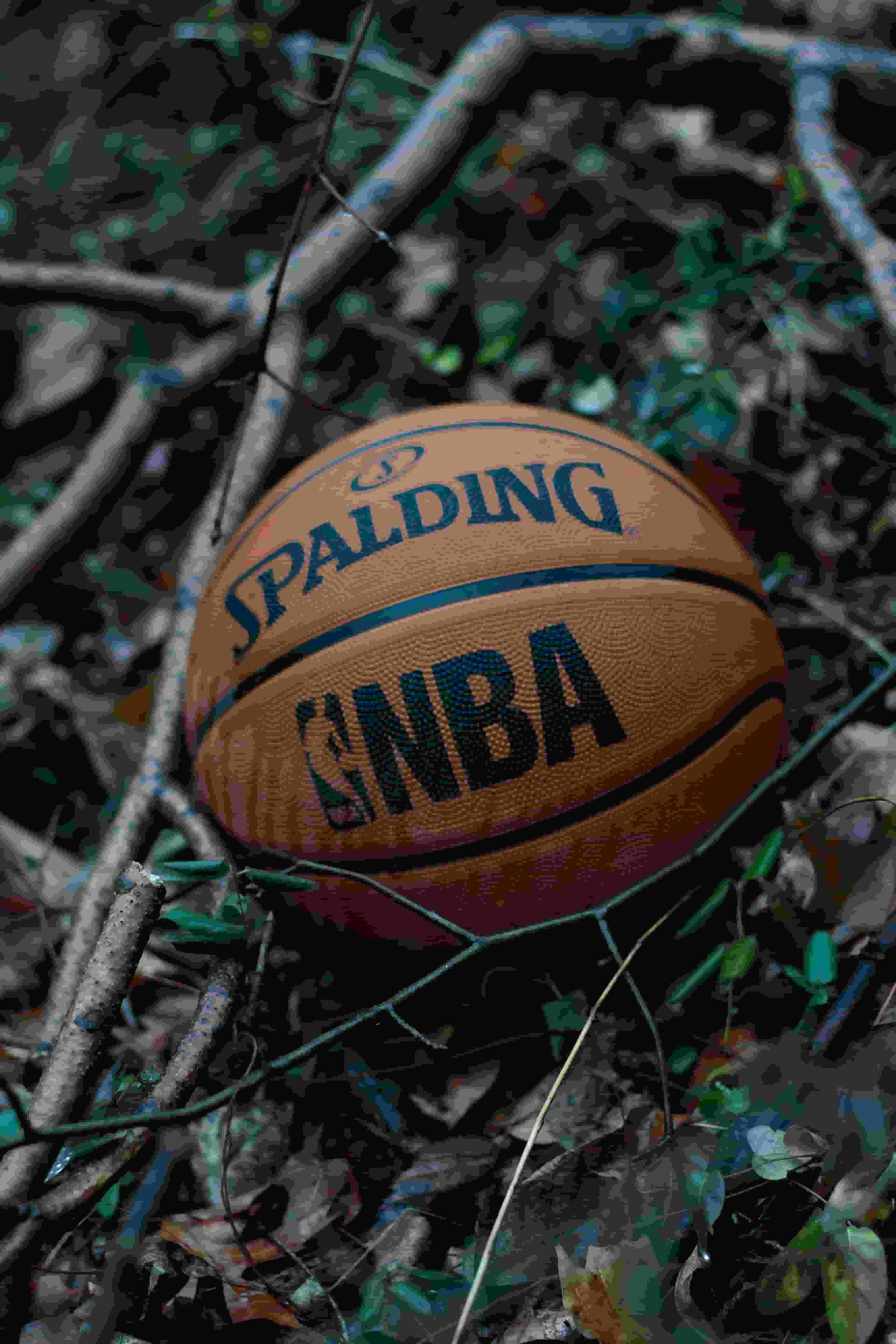 Thumbnail for NBA All Star Celebrity Game