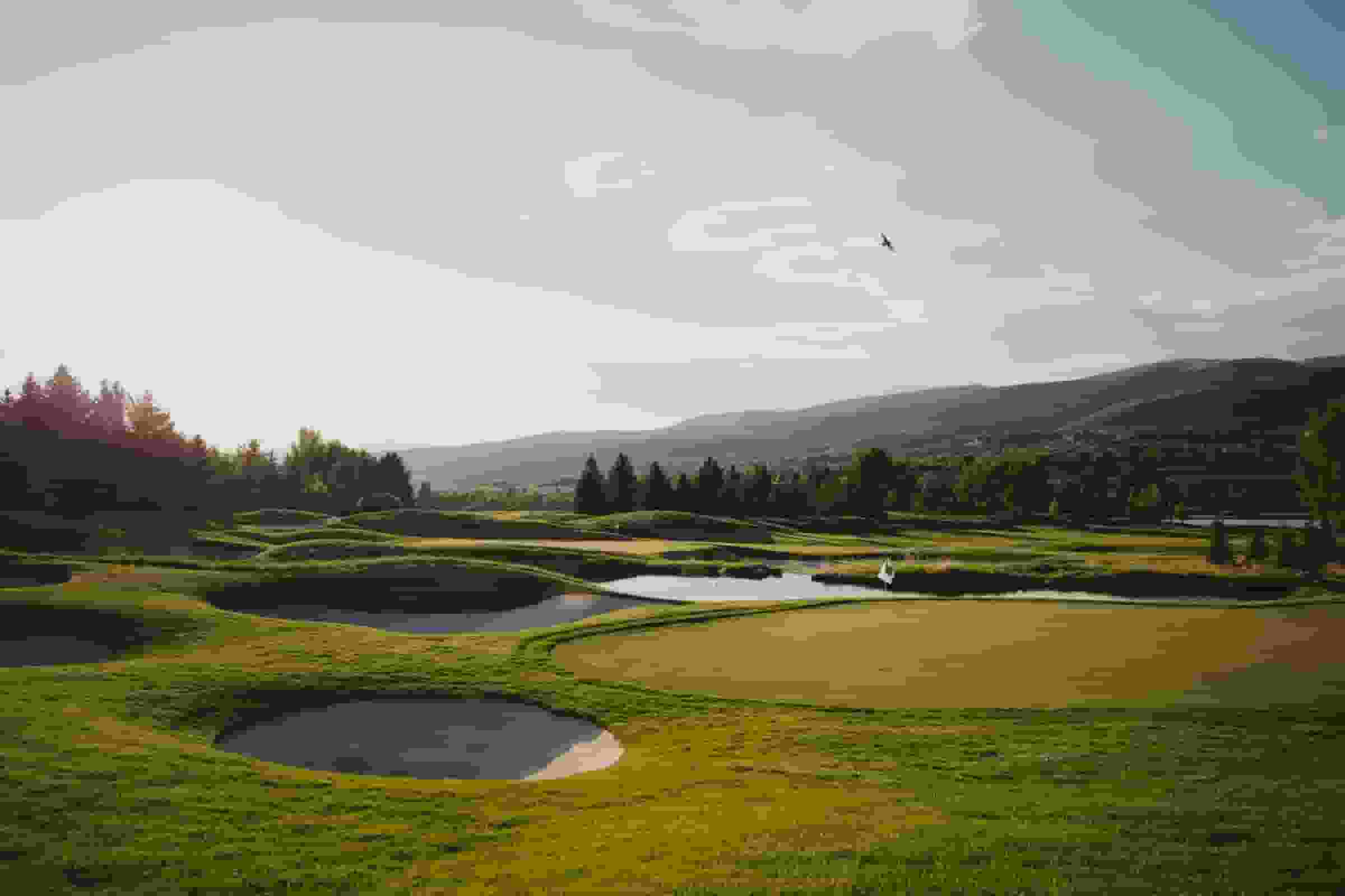 Thumbnail for T-Mobile Match Play