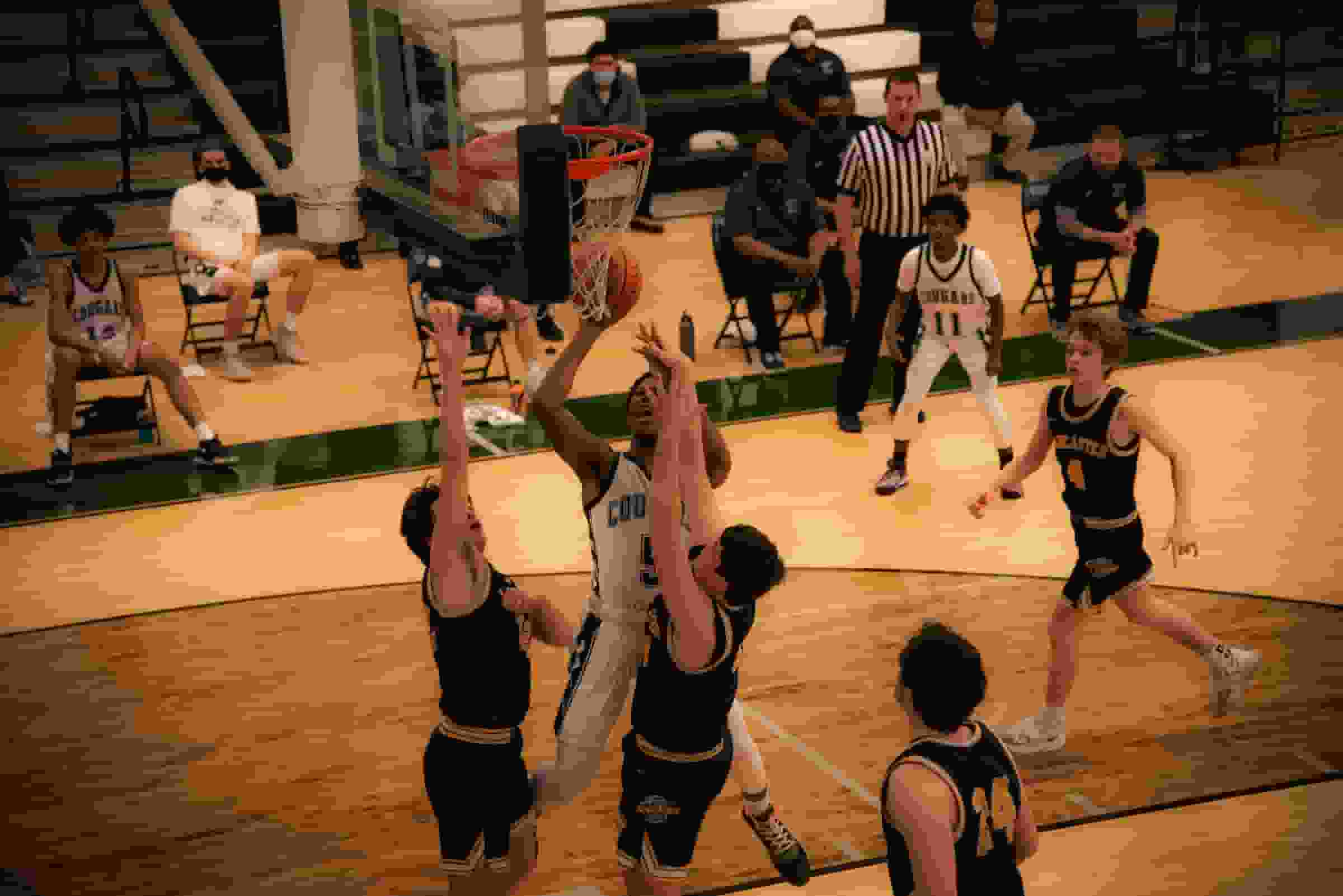 Thumbnail for Texas Longhorns Basketball