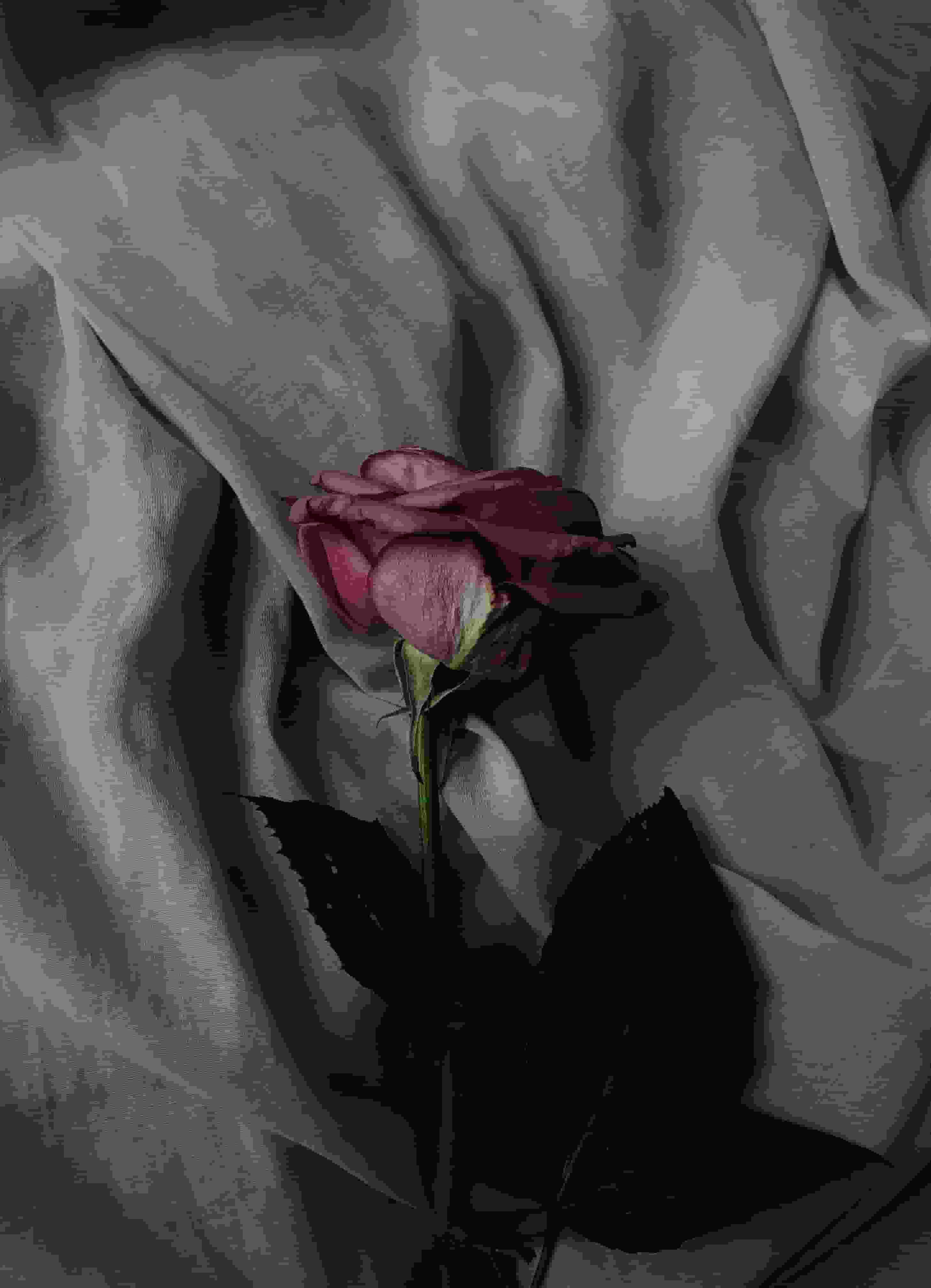 Thumbnail for Thee Sacred Souls