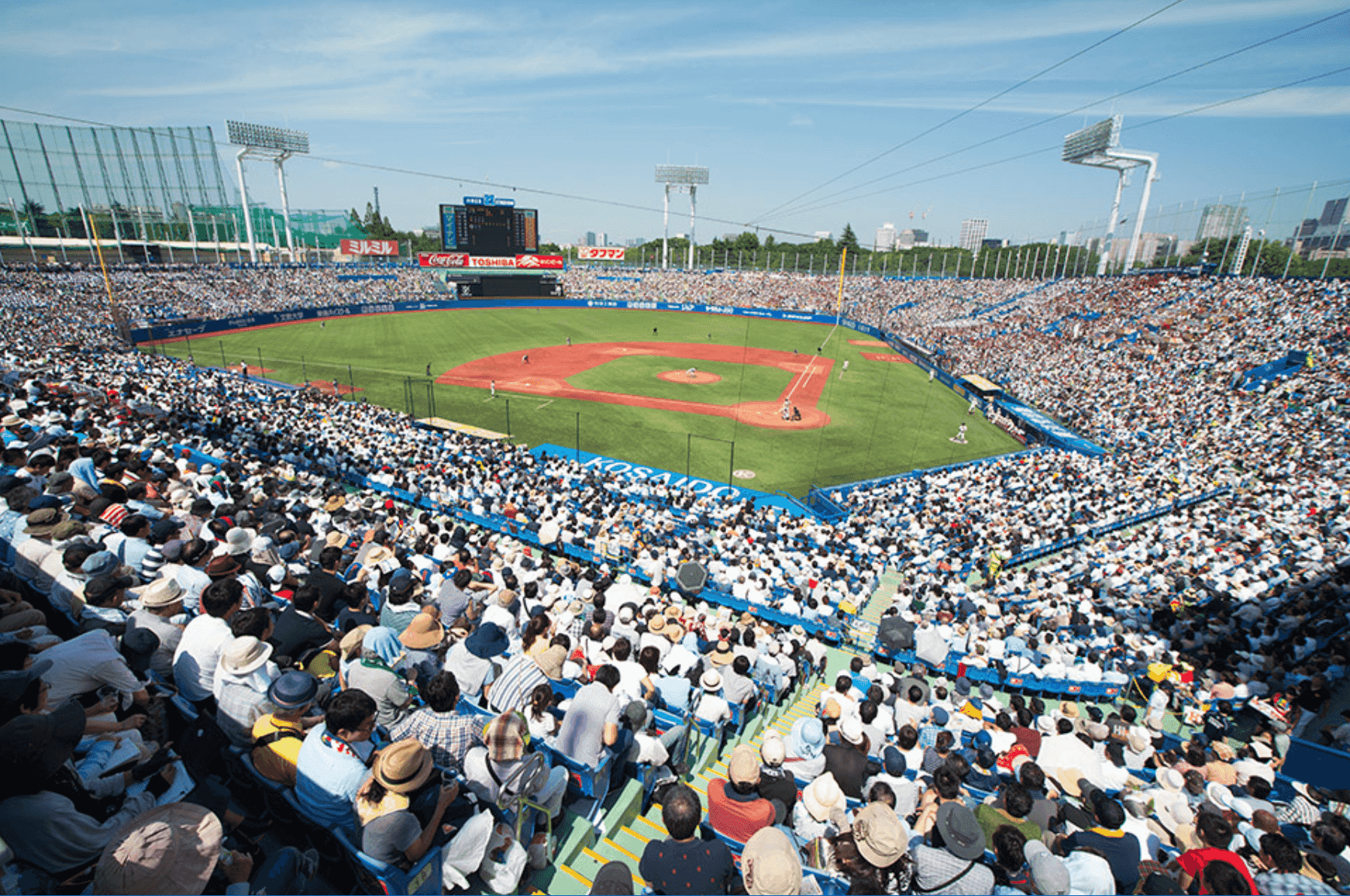 Thumbnail for Tokyo Yakult Swallows