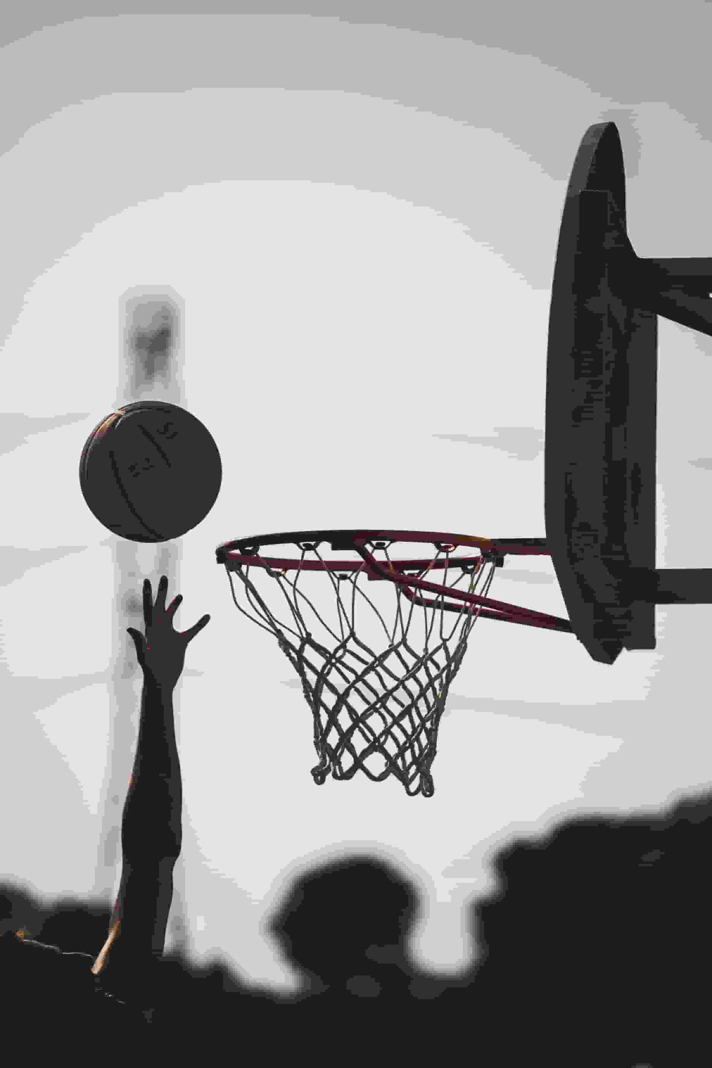 Thumbnail for Monmouth Hawks Basketball