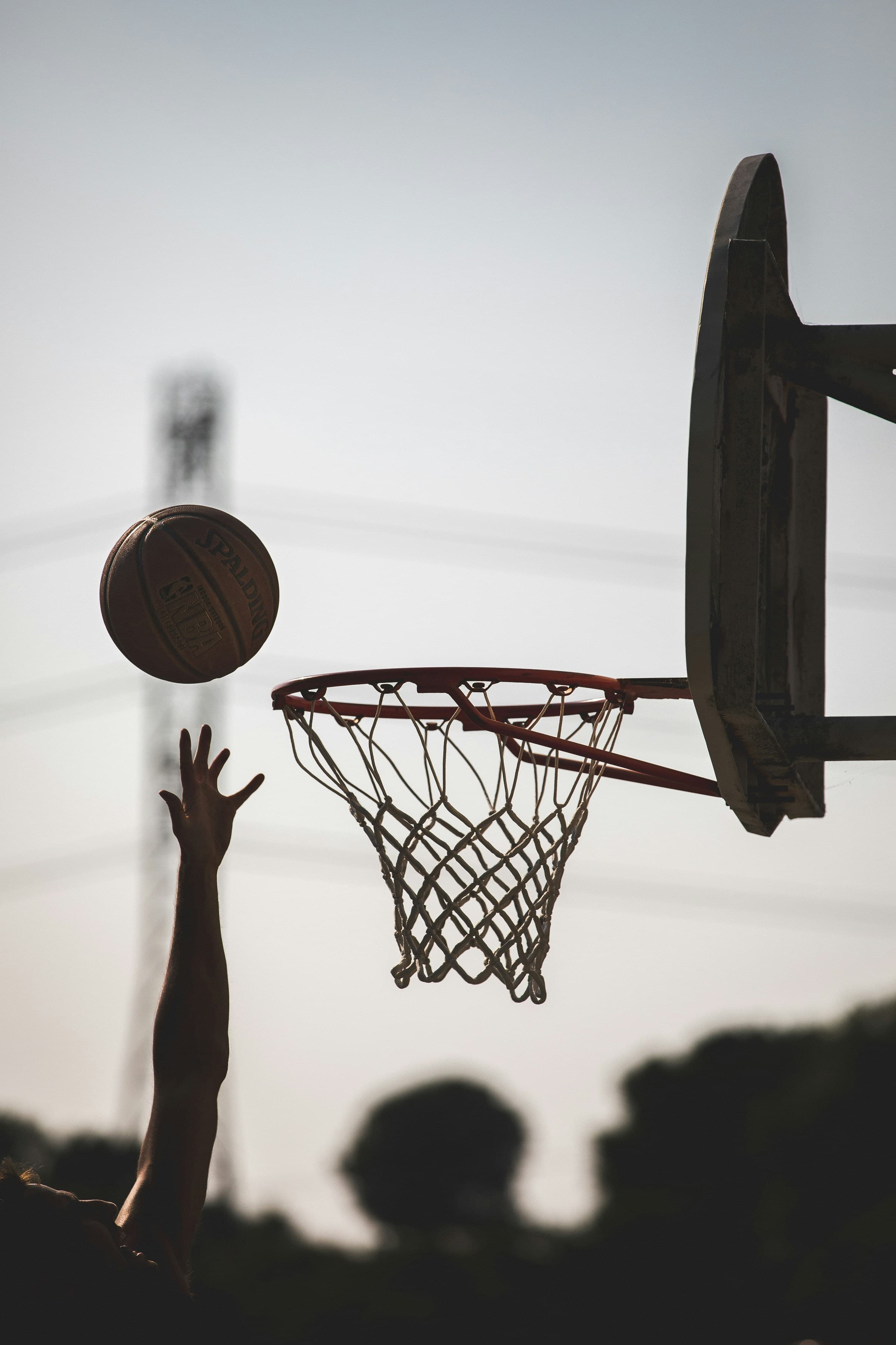 Thumbnail for Monmouth Hawks Basketball