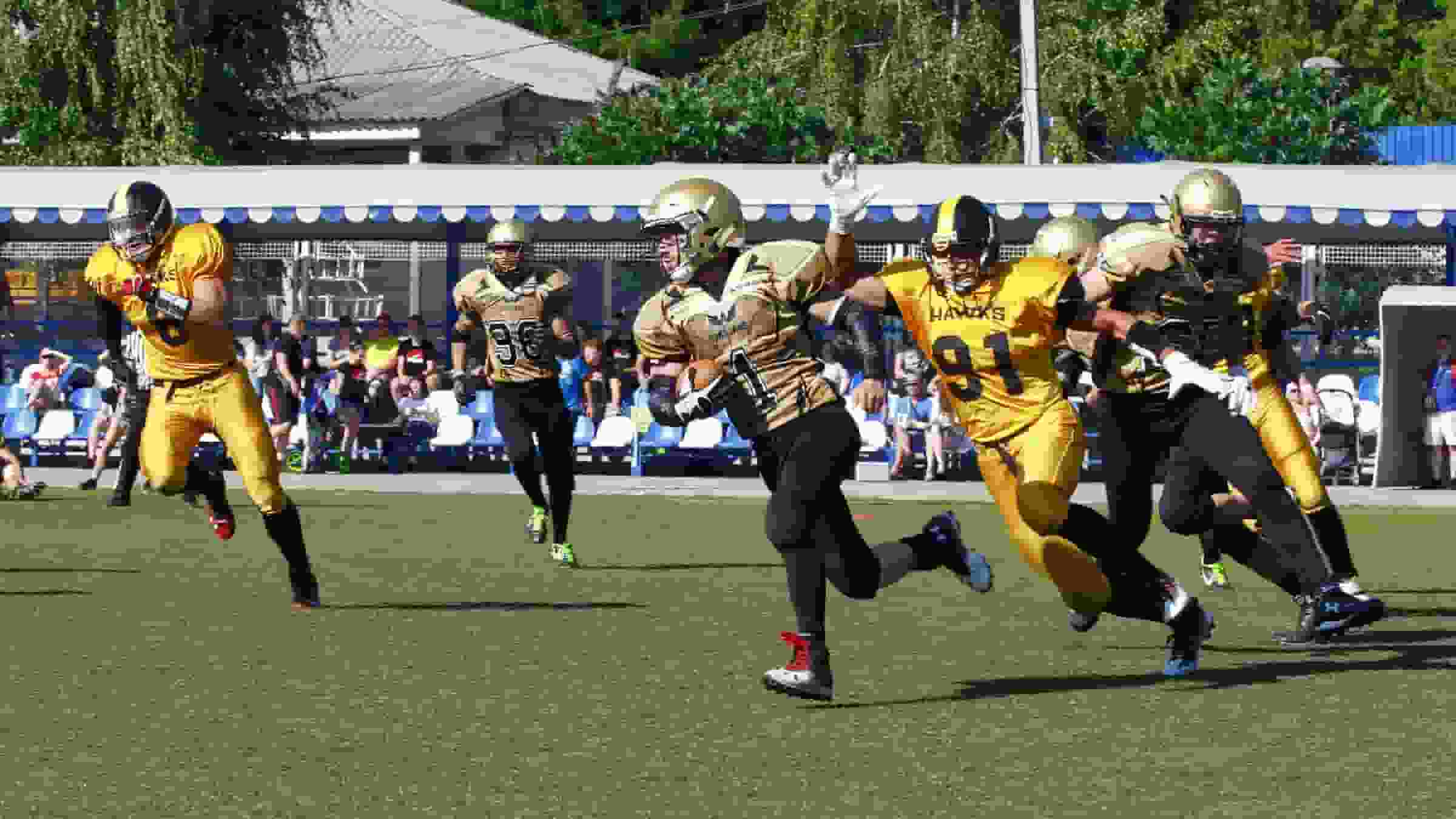 Thumbnail for Vanderbilt Commodores Football